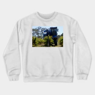 Grape Harvester at Magpie Springs by Avril Thomas Crewneck Sweatshirt